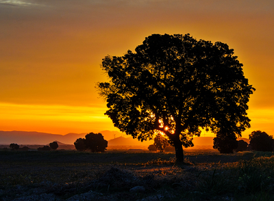 2025. ABRIL. TEMA: 